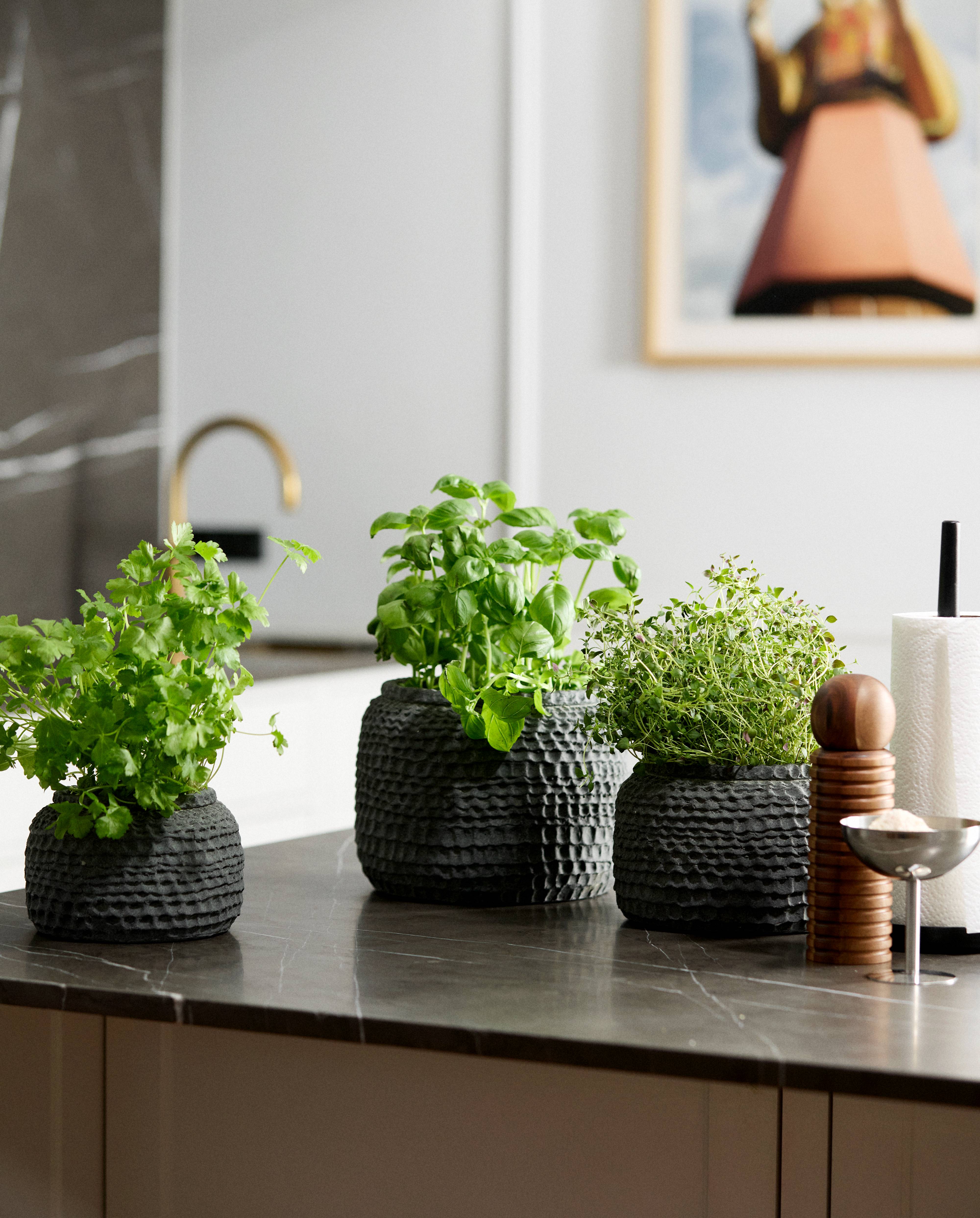 AOBA pot, L, cement - grey