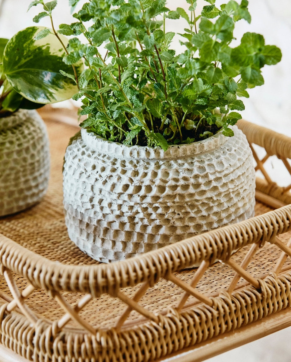 Pot AOBA, L, ciment - blanc