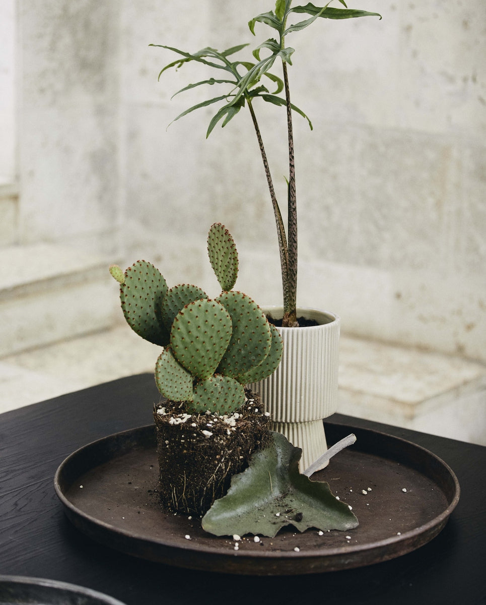 LOMBOK round tray, M, antique - silver finish