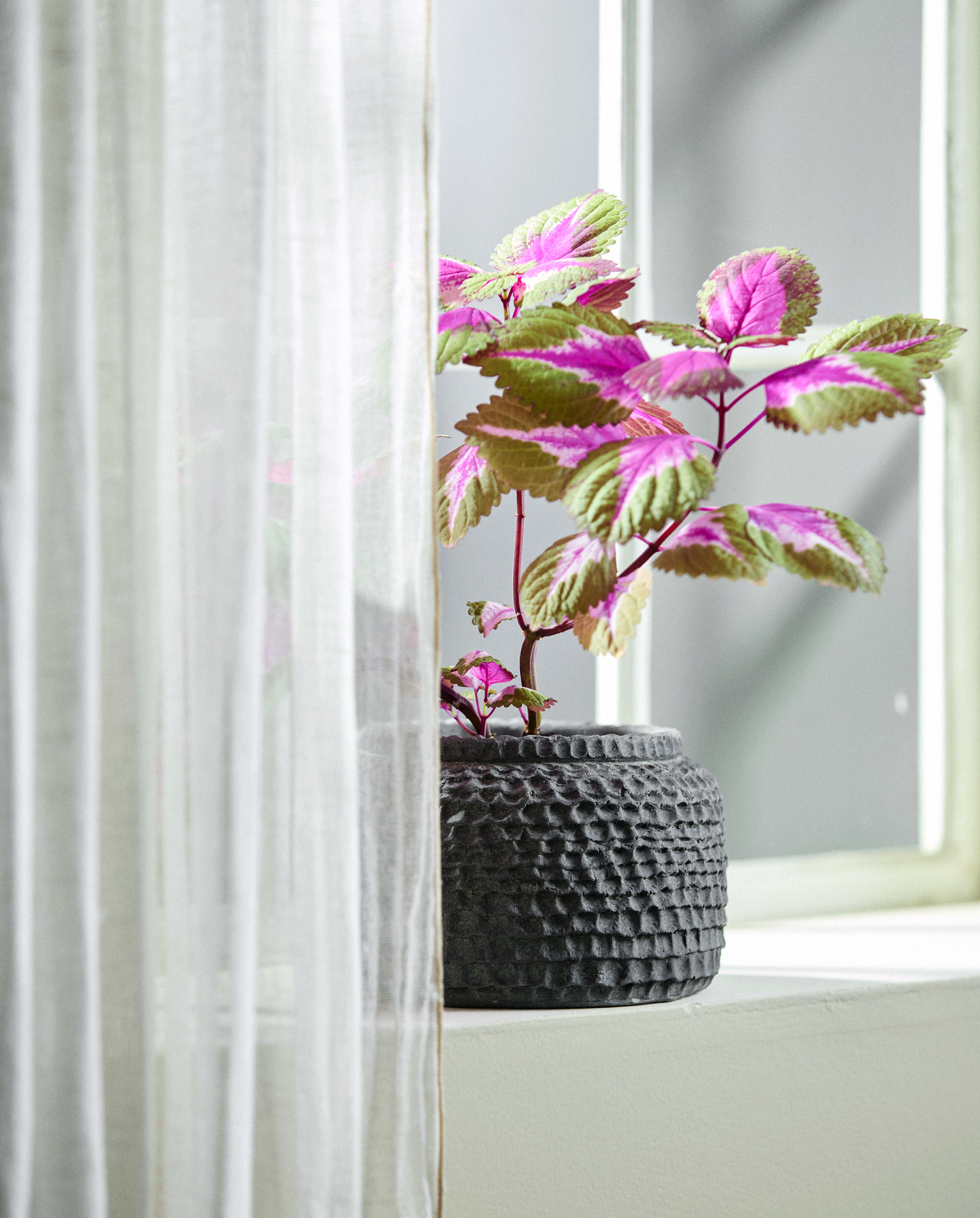 AOBA Topf, M, Zement - grau