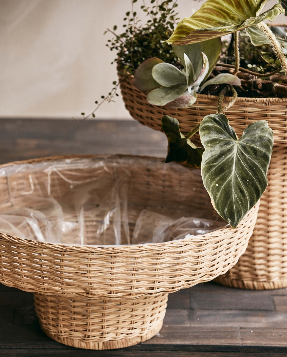 LAURIE flowerpot, low - nature