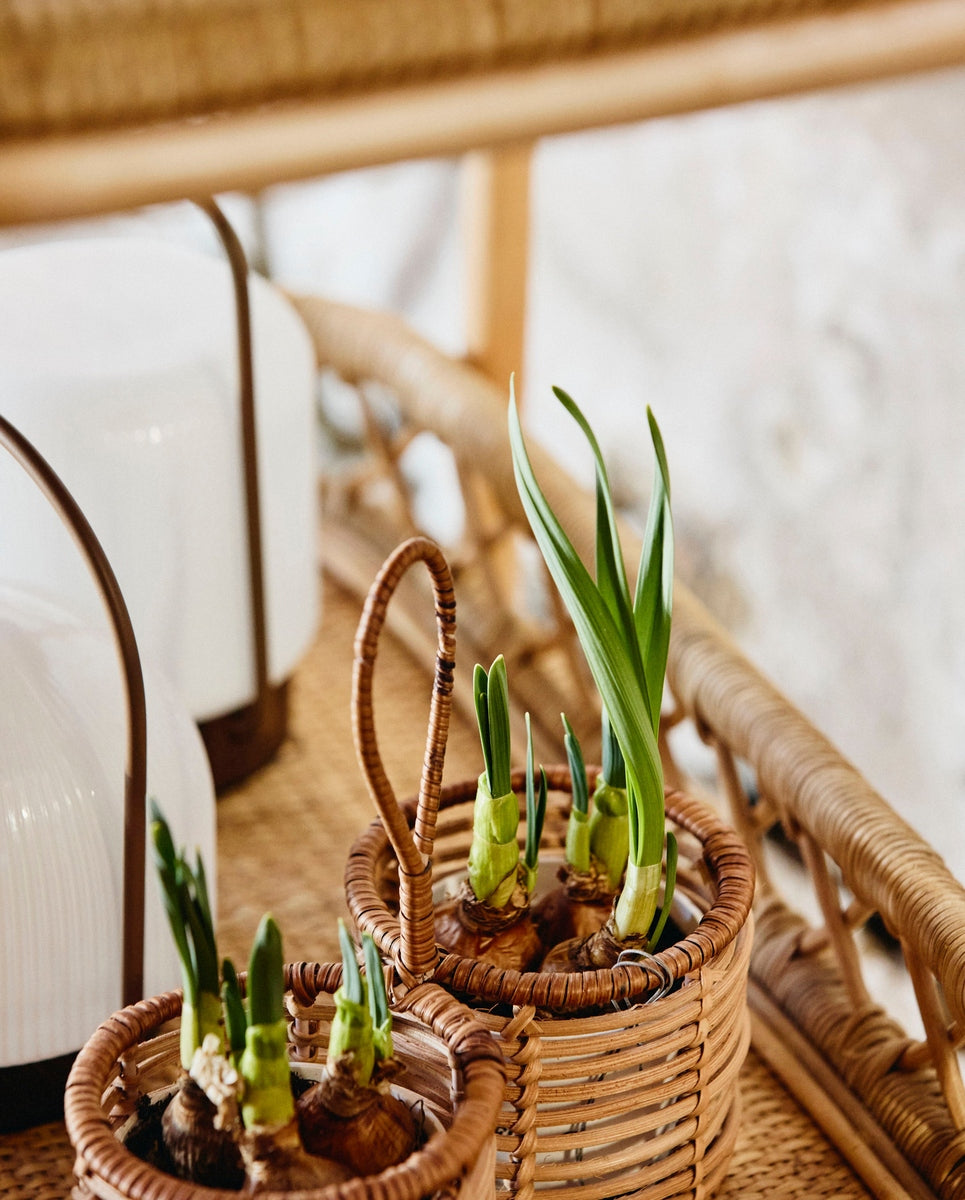 ZADAR rotan houder, S - natuur