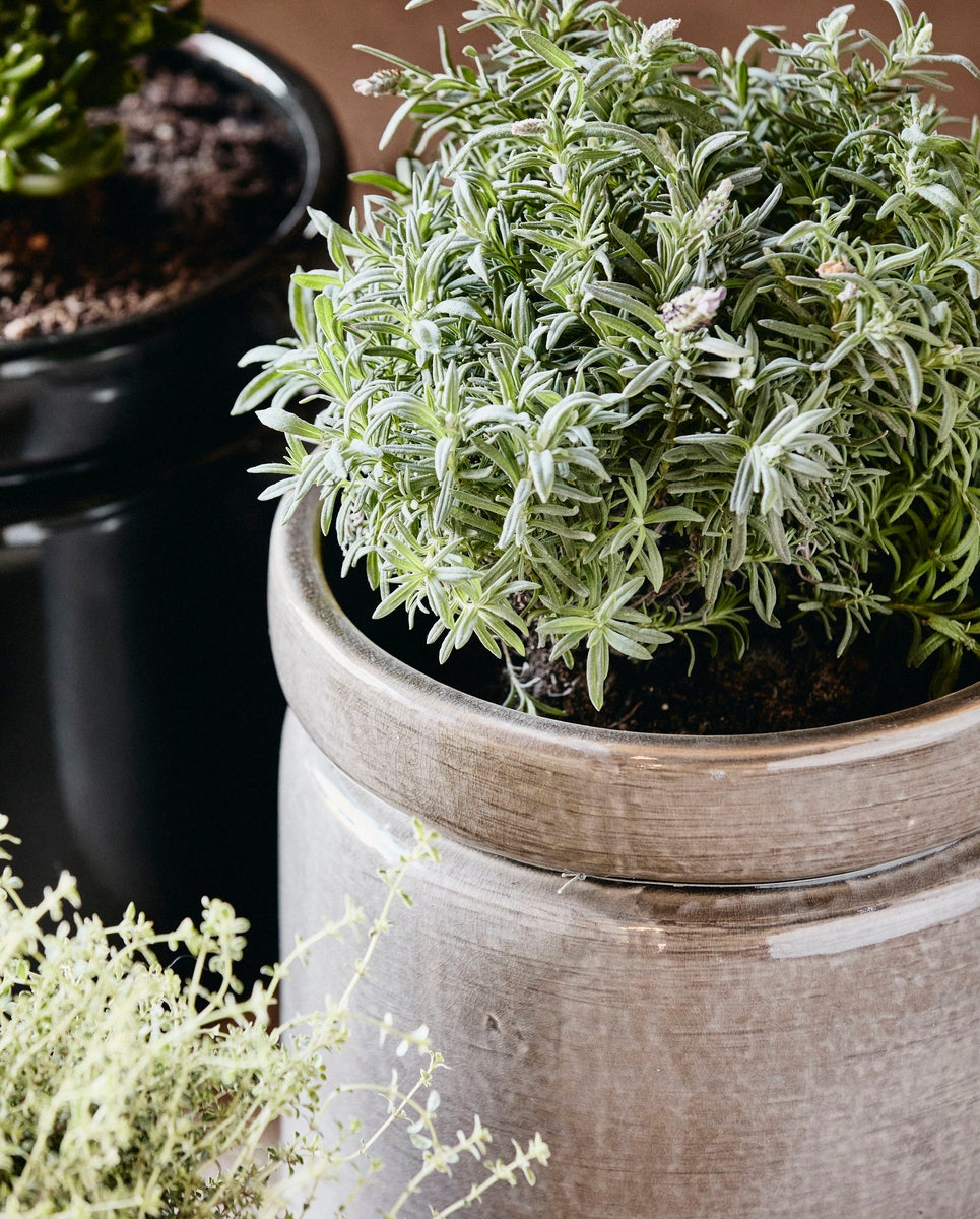 ISA pot, L, lichtgrijze glazuur