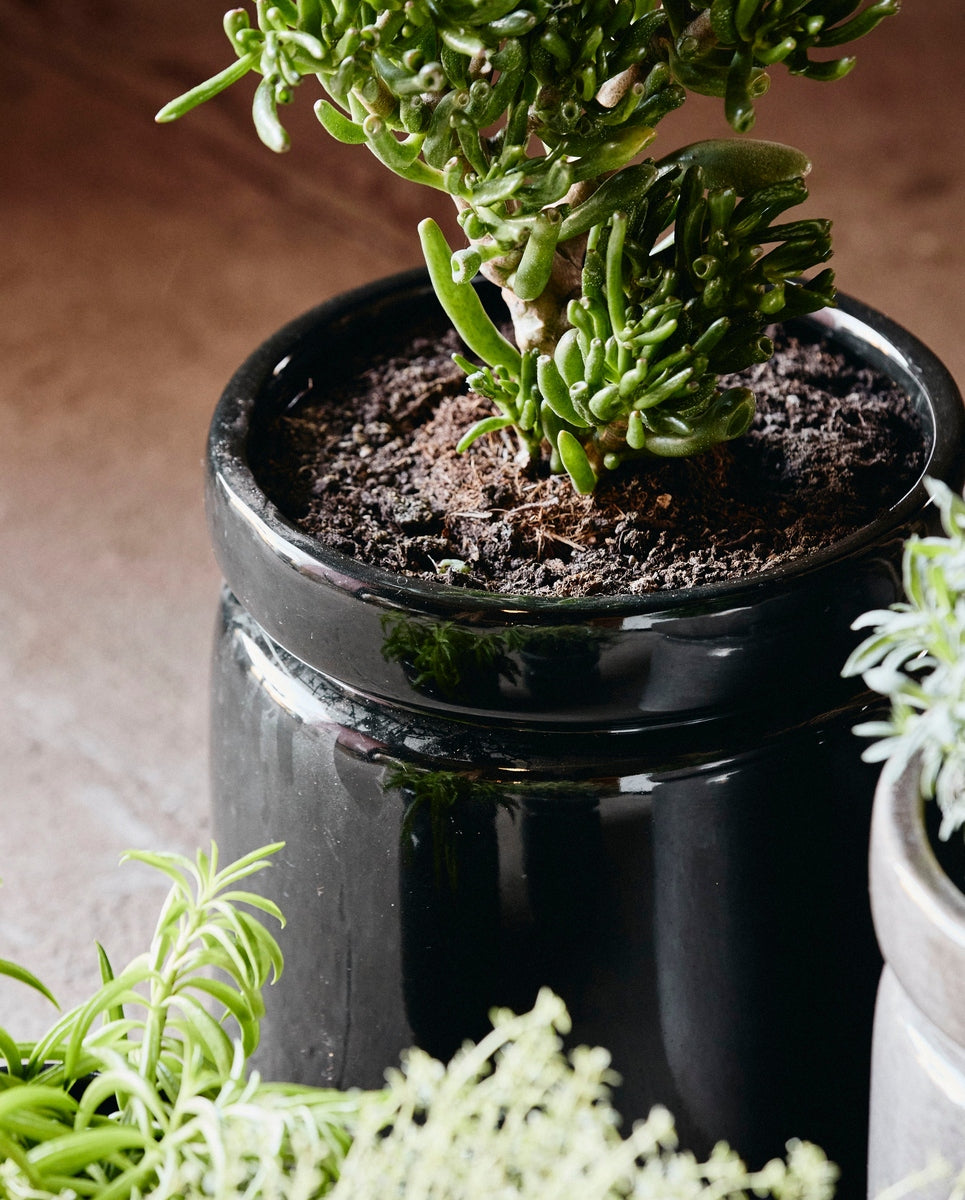 ISA pot, L, glanzend zwarte glazuur