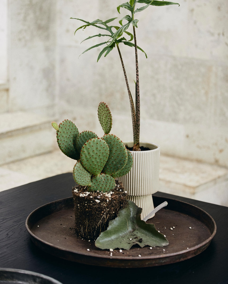 LOMBOK round tray, L, antique - silver finish