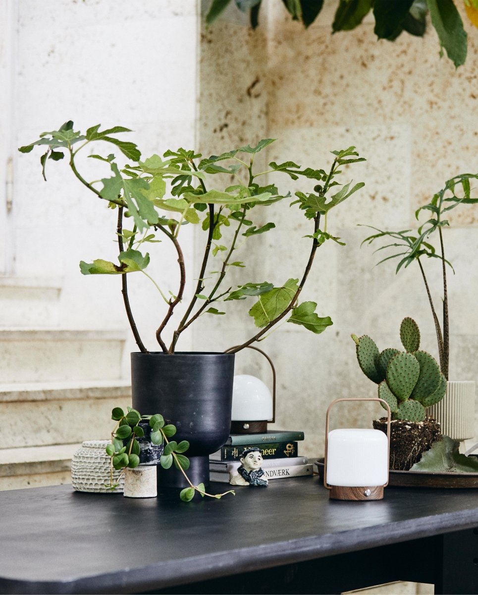 GALOA urtepotte, s - antracite - nordal.dk