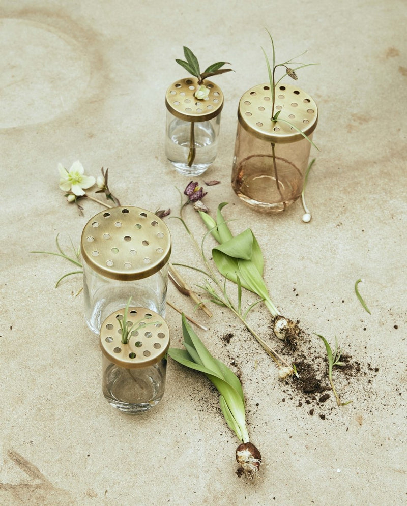 Vase en verre OAHU avec couvercle, brun poussiéreux, S
