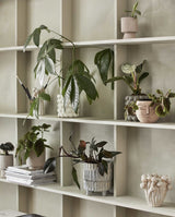 LINOSA face pot